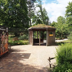 Lemur Forest exhibit - Entrance to the walk-through area, 2025-05-22