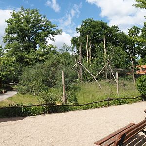 Lemur Forest exhibit, 2025-05-22