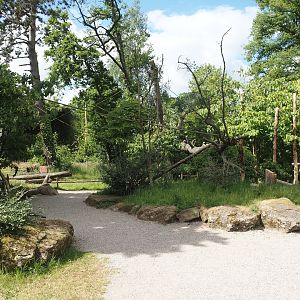 Lemur Forest exhibit - Walk-through area, 2025-05-22