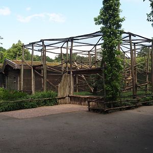 Black-and-white ruffed lemur exhibit, 2025-05-22