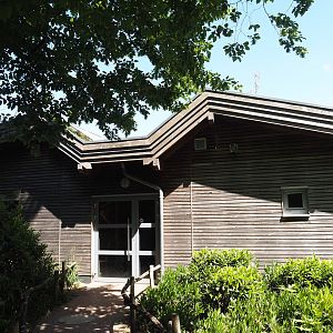 Lemur house, 2025-05-22