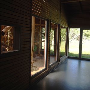 Lemur indoor exhibit and viewing windows into Lemur forest exhibit, 2025-05-22