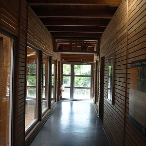 Visitor area in the lemur house, with lemur tunnel above, 2025-05-22