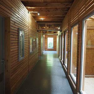 Visitor area in the lemur house, with lemur tunnel above, 2025-05-22