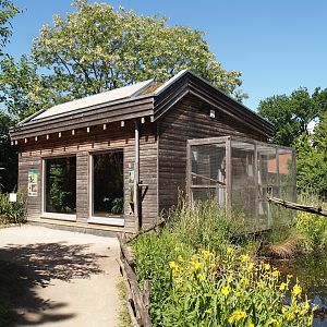 Cotton-top tamarin house, cage and bridge to island, 2025-05-22