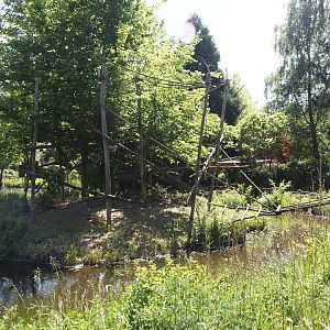 Cotton-top tamarin island, with Lar gibbon island , 2025-05-22