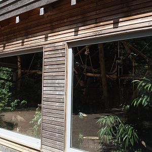 Cotton-top tamarin house, 2025-05-22