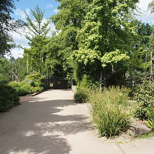 Park view towards Lemur Forest and coatis, 2025-05-22