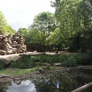 First Gelada exhibit, 2025-05-22