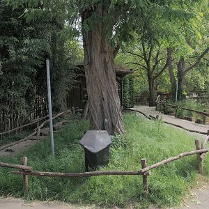 Access to viewing area for gelada exhibits, 2025-05-22