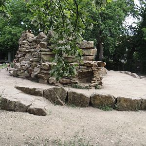 First Gelada exhibit, 2025-05-22