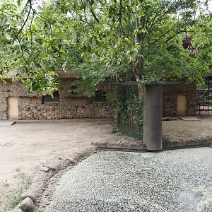 Gelada house between the two Gelada exhibits, 2025-05-22
