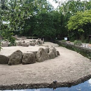 Second Gelada exhibit, 2025-05-22