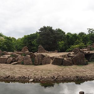 Second Gelada exhibit, 2025-05-22