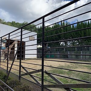 Giraffe Enclosure (Himeji City Zoo)