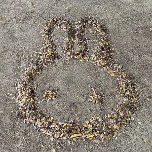 Leaf Art (Himeji City Zoo)