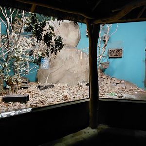 Bushbaby + votsosa exhibit