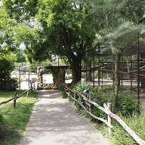 Gelada outdoor exhibit viewing window and holding cage, 2025-05-22