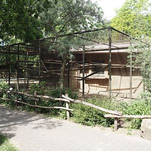 Gelada holding cage, 2025-05-22