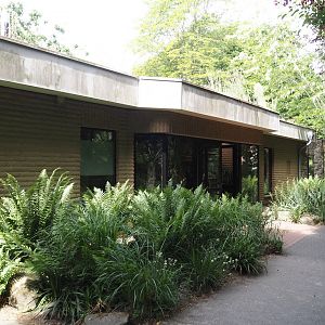 Gelada house, 2025-05-22