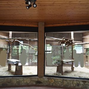Gelada indoor housing, 2025-05-22