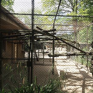 Gelada holding cage, 2025-05-22