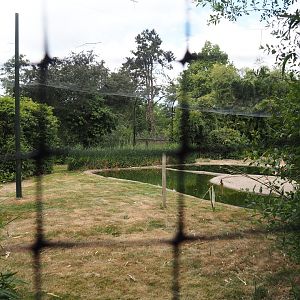 Chilean flamingo aviary, 2025-05-22