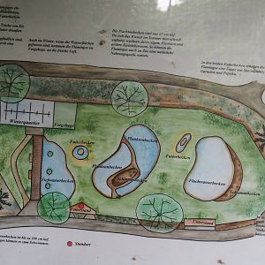 Map with the design and the features of the Chilean flamingo aviary, 2025-05-22