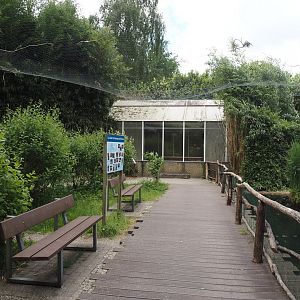 Visitor area in the Chilean flamingo aviary, 2025-05-22