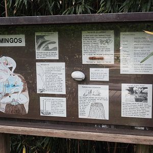 Chilean flamingo educational signage, 2025-05-22