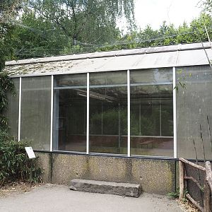 Viewing windows into the Chilean flamingo indoor exhibit, 2025-05-22