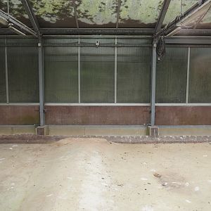 Chilean flamingo indoor exhibit, 2025-05-22