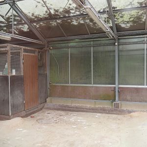 Chilean flamingo indoor exhibit, 2025-05-22