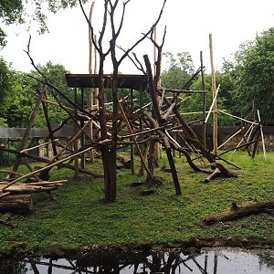 One of the Lion-tailed macaque exhibits, 2025-05-22