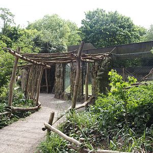Viewing area for one of the Lion-tailed macaque exhibits, 2025-05-22