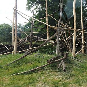 One of the Lion-tailed macaque exhibits, 2025-05-22