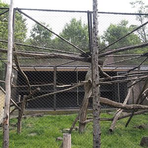 One of the Lion-tailed macaque exhibits, 2025-05-22