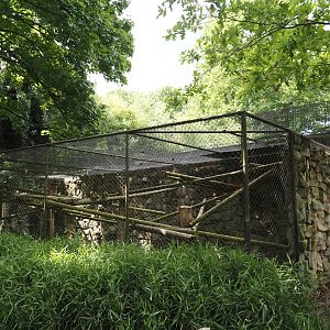 One of the Lion-tailed macaque exhibits, 2025-05-22