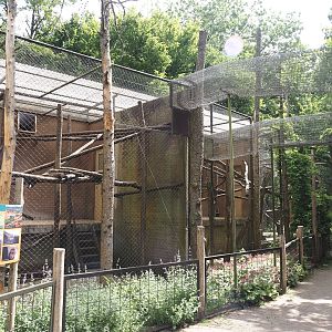 Older Lion-tailed macaque exhibits, with tunnels to larger outdoor exhibits, 2025-05-22