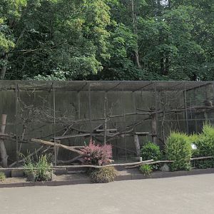 Desmarest's hutia exhibit, 2025-05-22