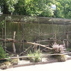 Desmarest's hutia exhibit, 2025-05-22