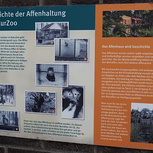 Signage about primate housing at NaturZoo Rheine, 2025-05-22