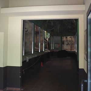 View in the Desmarest's hutia and Lion-tailed macaque house, 2025-05-22