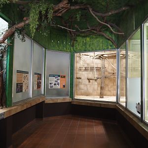 View in the Desmarest's hutia and Lion-tailed macaque house - Lion-tailed macaque indoor exhibits and signage, 2025-05-22