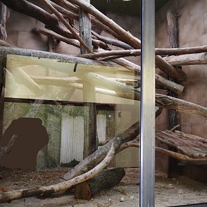 Second Desmarest's hutia indoor exhibit, 2025-05-22