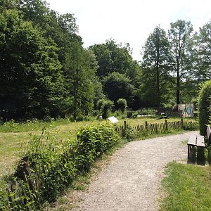 Walk-through area in the Blue peafowl, Demoiselle crane and Hawaiian goose exhibit, 2025-05-22