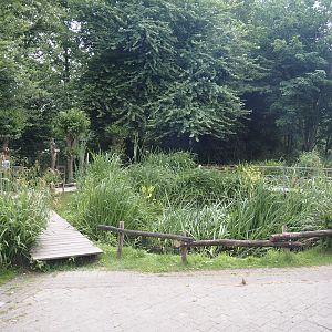 Wildlife pond and aquatic native wildlife education area, 2025-05-22