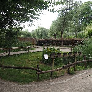 Wildlife pond and aquatic native wildlife education area, 2025-05-22