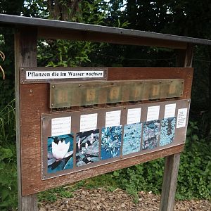 Aquatic plant signage in the wldlife pond and aquatic native wildlife education area, 2025-05-22