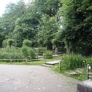 Wildlife pond and aquatic native wildlife education area, 2025-05-22